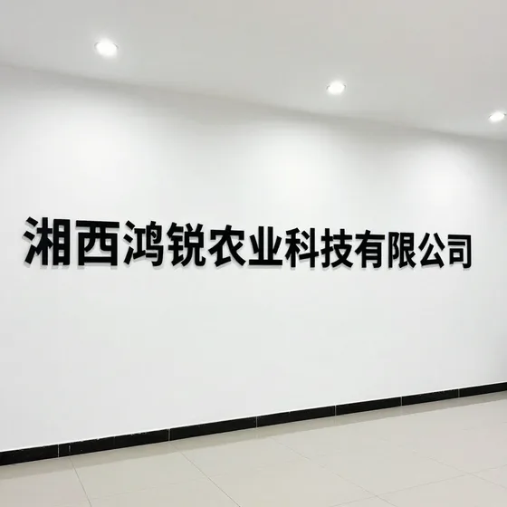 东莞塑胶制品